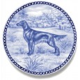 Irish Setter